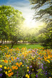 Parterre of flowers rounded by trees against sunset sunbeams