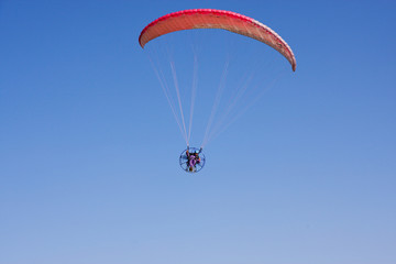 Paraglider