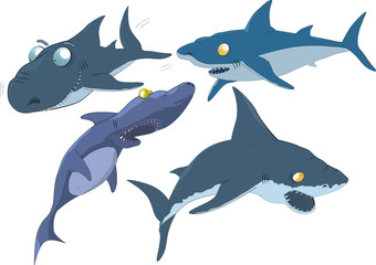 Wall Mural - The complete set of sharks