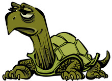 Vector Cartoon Turtle