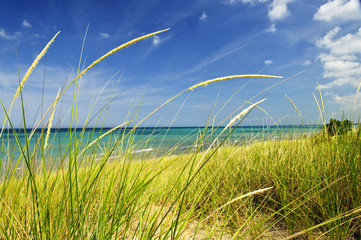 Poster - Sand dunes at beach