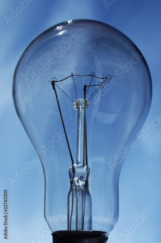 Bulb