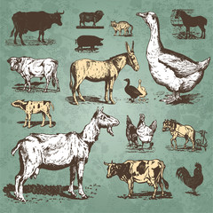 Wall Mural - farm animals vintage set (vector)