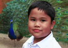 Boy And Peacock