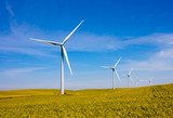 Fototapeta  - Wind turbines farm