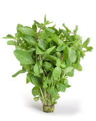 Spearmint herb