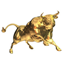 Bull Gold