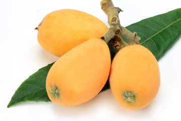 Wall Mural - loquat