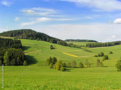 Foto-Schiebegardine mit Schienensystem - Mühlviertler Landschaft (von Dieter Hawlan)