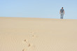 © gradt - spuren im sand