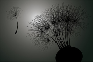 Canvas Print - single black dandelion silhouette