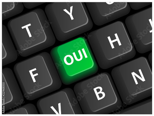 Touche Oui Sur Clavier Ok Go Positif Accord Feu Vert Vote Pour Stock Vector Adobe Stock
