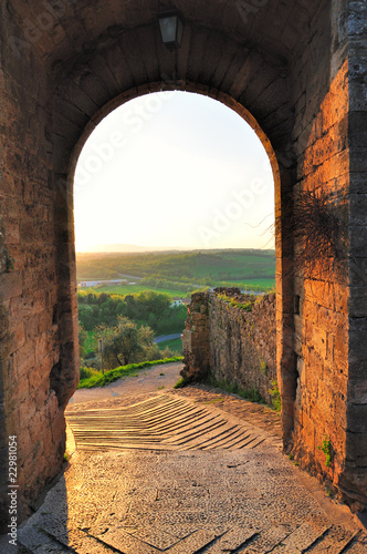 Naklejka na drzwi City door of Monteriggioni