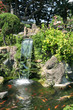 Waterfall and Koi pond in an Asian garden