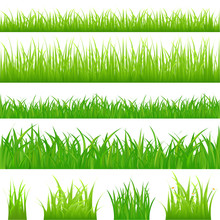 4 Backgrounds Of Green Grass And 4 Tufts Of Grass