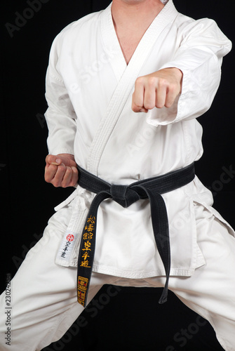 Plakat na papierze fotorealistycznym Karate poncz zuki