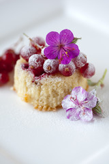 Wall Mural - Small cupcake with red currants