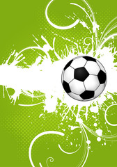 Wall Mural - Soccer Ball