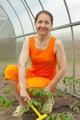 Wall Mural - Senior woman gardening