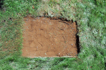 dirt patch surrounded by grass