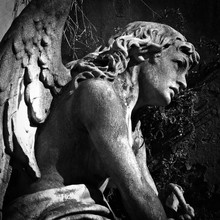 Angel At La Recoleta Cemetery In Buenos Aires