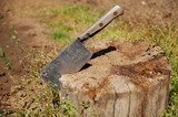 Fototapeta Na sufit - Old axe on wooden block