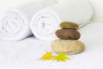 concepto de spa, tratamiento y belleza