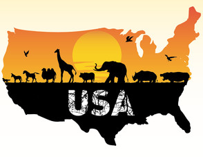 Wall Mural - american animals