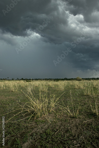 Fotoboard na płycie Deszcz chmura nad krajobrazem Afryki, park narodowy serengeti, seren