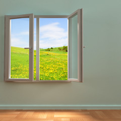 Wall Mural - window