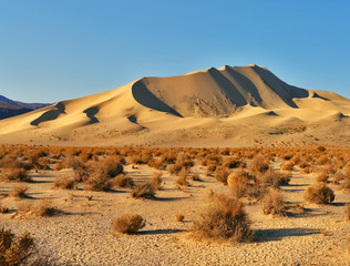 Wall Mural - Magnificent sandy dune in desert