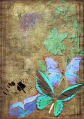 Wall Mural - butterflies on old vellum