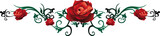 Rose, Rosen, Liebe, love, Blumen, Blüten, floral, rot