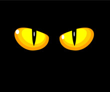 Cat Yellow Eyes