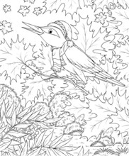 Singing Bird In An Autumn Forest