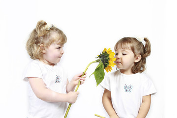 Adorable little twin girls isolated on white background