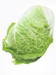 lettuce vegetable salad