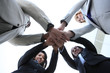 © Stephen Coburn - Diverse Business Team Celebrating