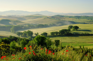 Sticker - Toskana Huegel  - Tuscany hills 19