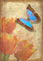 Wall Mural - butterfly and tulips on old vellum