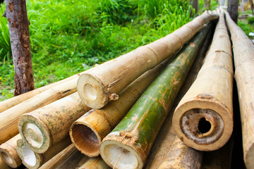 Bamboo sticks background