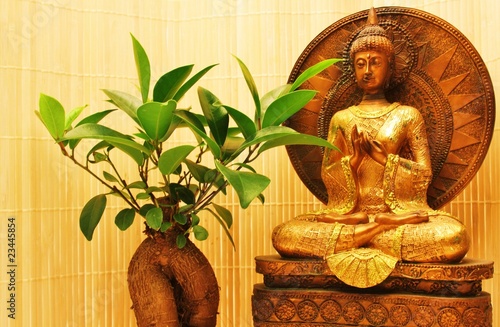 Board z aluminiowym obramowaniem Złoty Budda