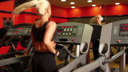 Wall Mural - Beautiful sporty woman is exercising at the gym centre