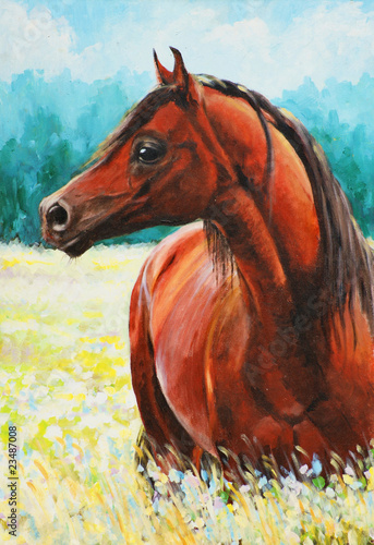 Naklejka - mata magnetyczna na lodówkę Arabian horse acrylic painted.