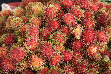 rambutan