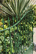 Wrought iron gate fencing off a property in Sineu