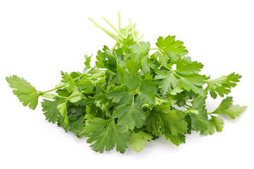 Canvas Print - Fresh parsley on white background