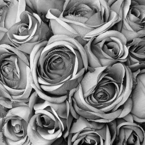 Fototapeta na wymiar Background with roses in black and white