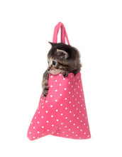 Kitten In Pink Hand Bag