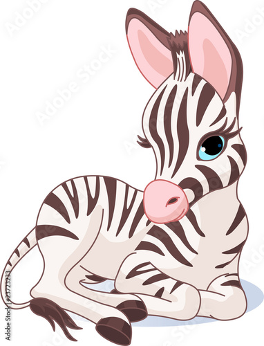 Naklejka dekoracyjna Cute Zebra Foal